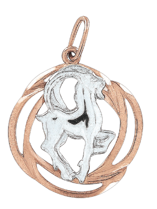 Pendant Zodiac sign Capricorn 
