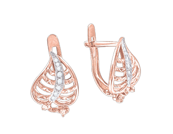Earrings with zirconia 