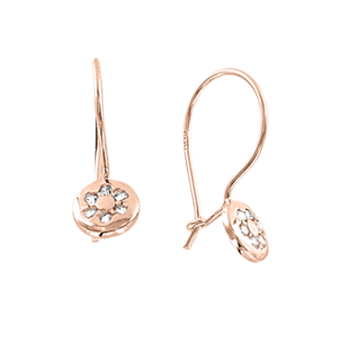 Earrings with zirconia 