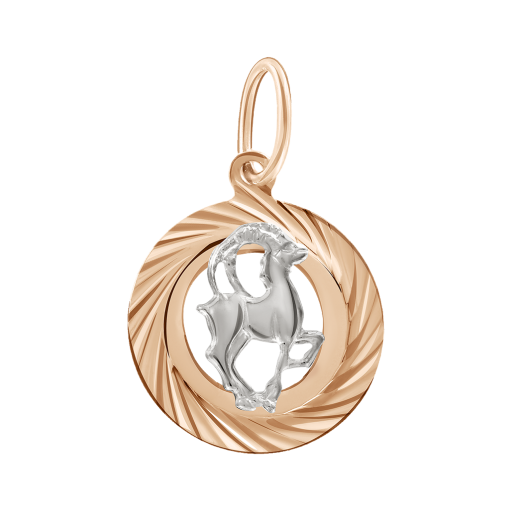 Pendant Zodiac sign Capricorn 
