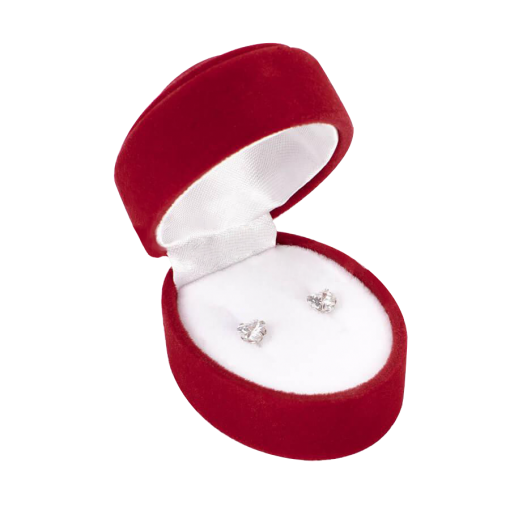 Case for earrings 