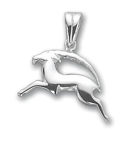 Pendant Zodiac sign Capricorn 