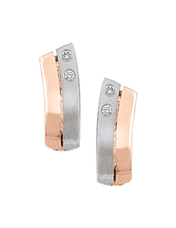 Earrings with diamonds 