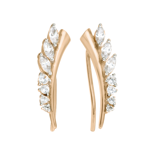Earrings with zirconia 