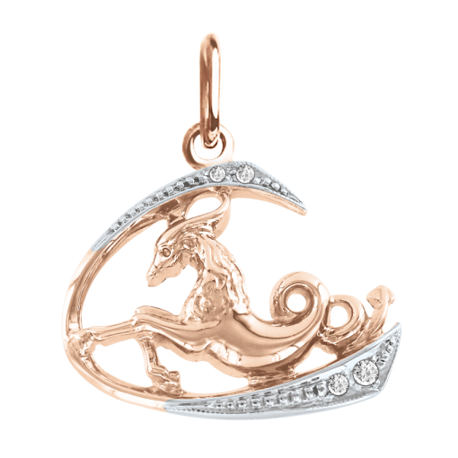 Pendant Zodiac sign Capricorn 
