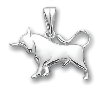 Anhänger Sternzeichen Stier 