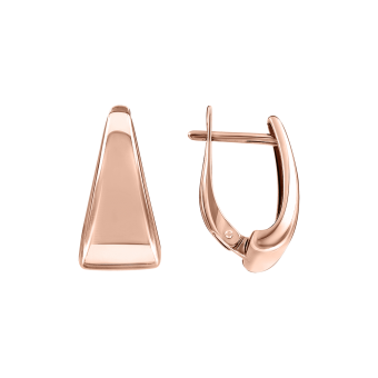Gilded earrings 