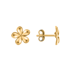 Stud earrings 