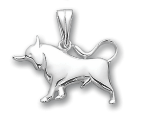 Anhänger Sternzeichen Stier 