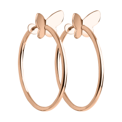 Creolen Schmetterlinge 