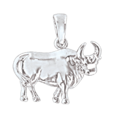 Anhänger Sternzeichen Stier 