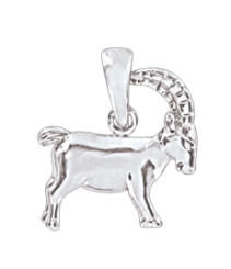 Anhänger Sternzeichen Steinbock 