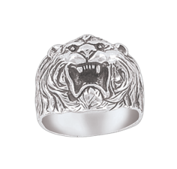 Men's ring 