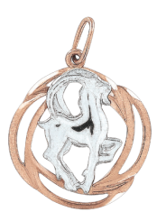 Anhänger Sternzeichen Steinbock 