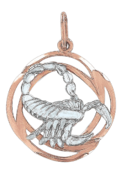 Anhänger Sternzeichen Skorpion 