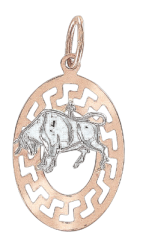 Anhänger Sternzeichen Stier 