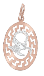 Anhänger Sternzeichen Skorpion 