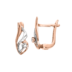 Earrings with zirconia 