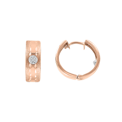 Ohrhänger mit Zirkonia 