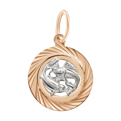 Anhänger Sternzeichen Fisch 