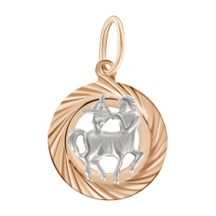 Anhänger Sternzeichen Schütze 