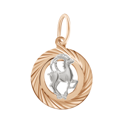 Anhänger Sternzeichen Steinbock 