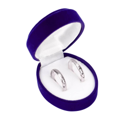 Case for rings or earrings 