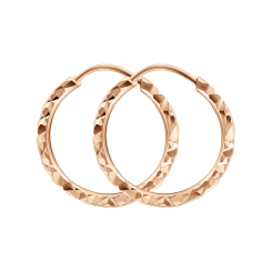 Hoop earrings 