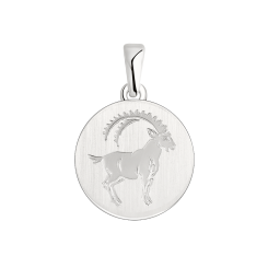 Подвеска - знак зодиака Козерог 