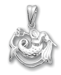 Anhänger Sternzeichen Wassermann 