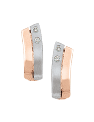 Ohrringe mit Brillanten 