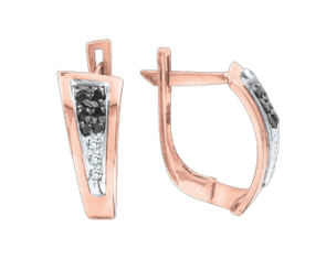 Earrings with zirconia 