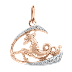 Anhänger Sternzeichen Steinbock 