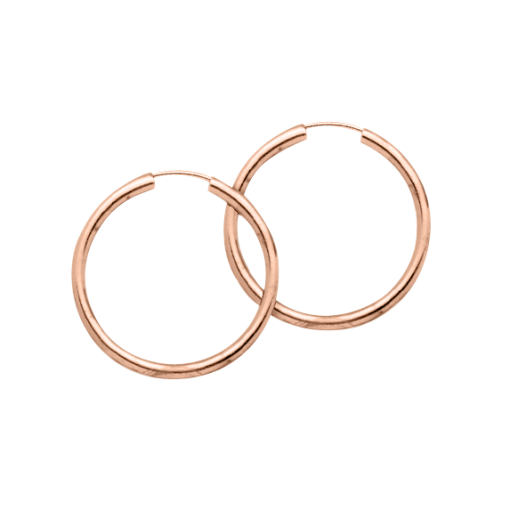 Hoop earrings 