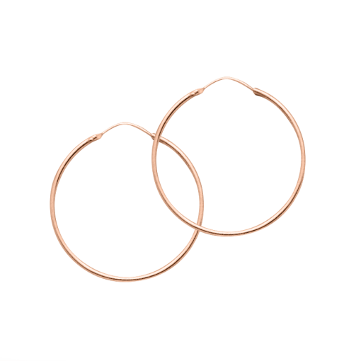 Hoop earrings 