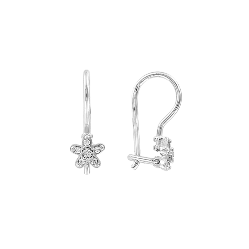 Earrings with zirconia 