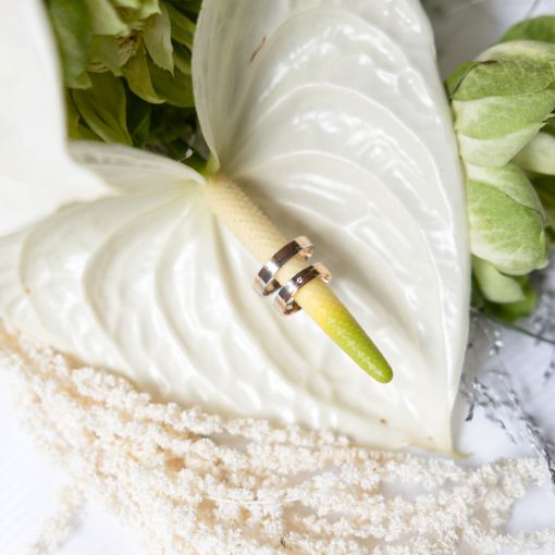 Wedding rings with a diamond 