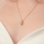 morepic-3