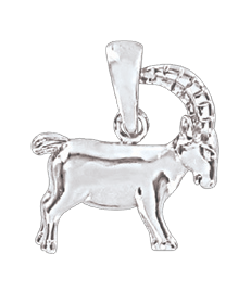 Anhänger Sternzeichen Steinbock 